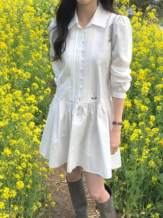 Pleated collar dress