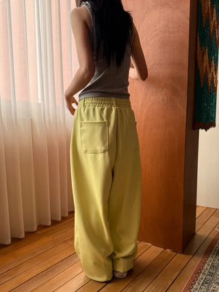 sleek sweat pants