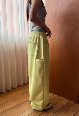 sleek sweat pants