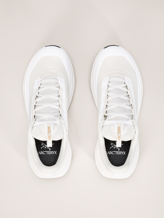 [arcteryx] Norvan LD 4 Gore-Tex Women's - Arctic Silk / Arctic Silk