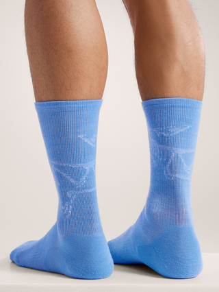 [arcteryx] Merino Wool Mid Bird Socks - Glacial / White