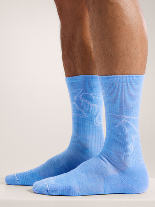 [arcteryx] Merino Wool Mid Bird Socks - Glacial / White