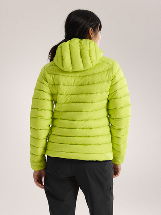 [arcteryx] Cerium Hoodie Women's - Mantis