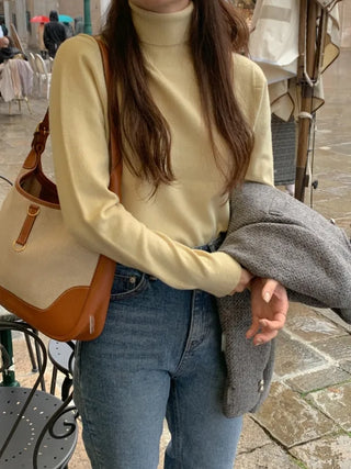 Whole Garment Cashmere Wool Turtleneck Knit