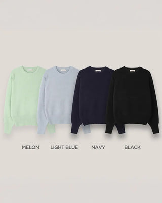 [U-neck/V-neck] 2 types of standard basic knitwear