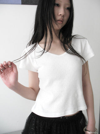V-Neck Crop Top With Small Wing Sleeves