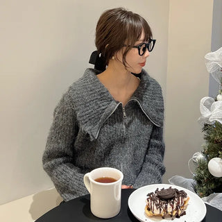 Color 2-Way Knit Hoodie