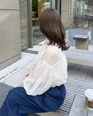 Organza sheer blouse