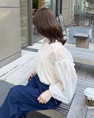 Organza sheer blouse