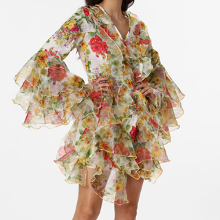 Long flared sleeve ruffle v neck print mini dress