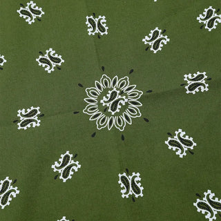 Paisley bandana