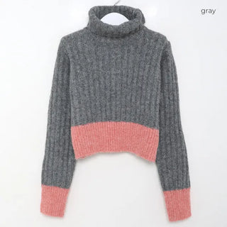 Ribbed two-tone turtleneck knit