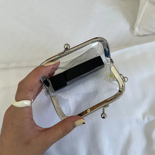 Clear coin case