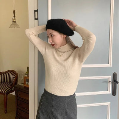 Ribbed turtleneck knit