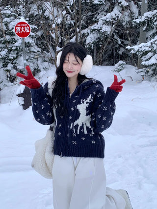 Nordic pattern knit hoodie