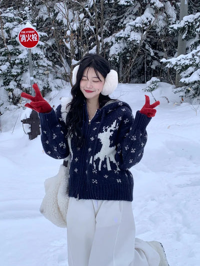 Nordic pattern knit hoodie