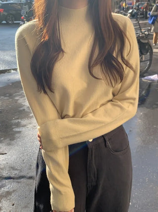 Whole Garment Cashmere Wool Turtleneck Knit