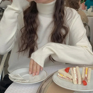 Whole Garment Cashmere Wool Turtleneck Knit
