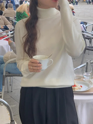 Whole Garment Cashmere Wool Turtleneck Knit