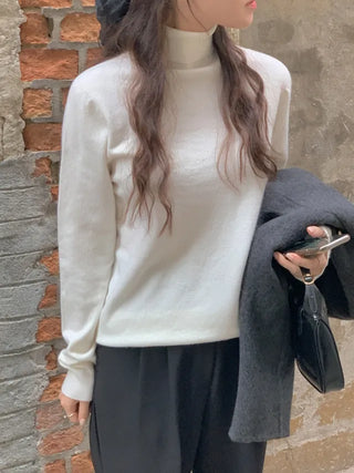 Whole Garment Cashmere Wool Turtleneck Knit