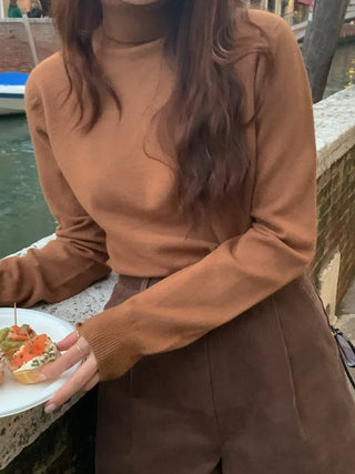 Whole Garment Cashmere Wool Turtleneck Knit