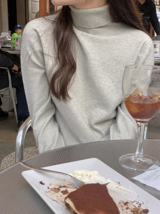 Whole Garment Cashmere Wool Turtleneck Knit