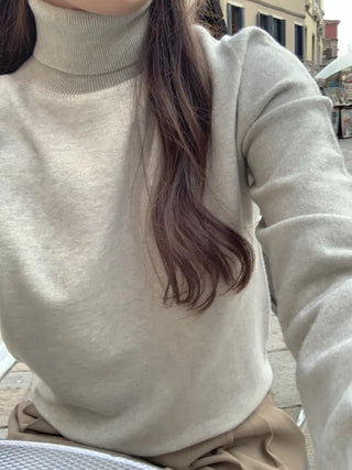 Whole Garment Cashmere Wool Turtleneck Knit