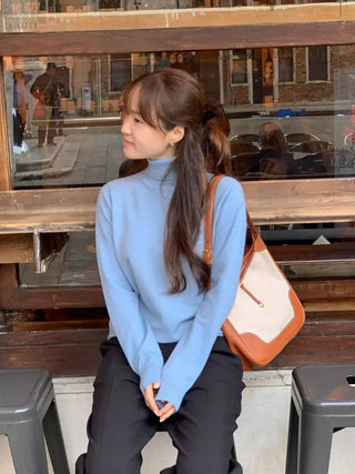 Whole Garment Cashmere Wool Turtleneck Knit
