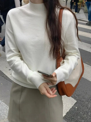 Whole Garment Cashmere Wool Turtleneck Knit