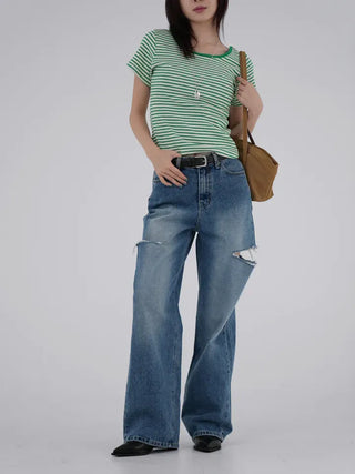 Beginning Back Slit Striped Short Sleeve