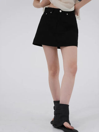 Pale Basic A-Line Skirt Pants