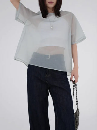 Ivelis Organza Blouse