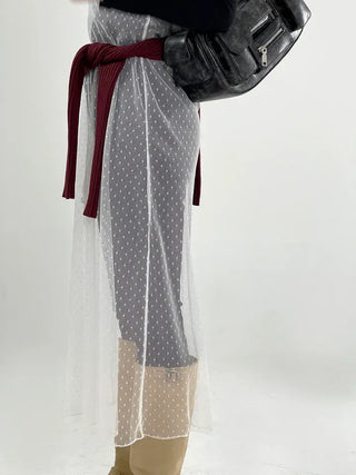 Puny See-through Dot Layered Dress