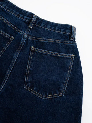 Dion Daily Stitch Denim Pants