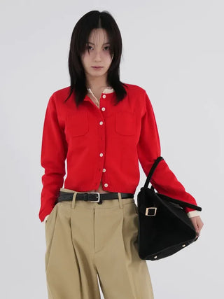 Bella Suede Big Tote Bag