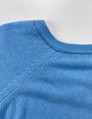 Dana Raglan V-neck Knit