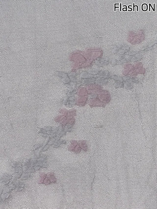 Sakura Bloom Flower Pattern See-through Stockings