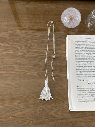 Glide Tassel Metal Long Drop Necklace