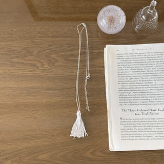 Glide Tassel Metal Long Drop Necklace