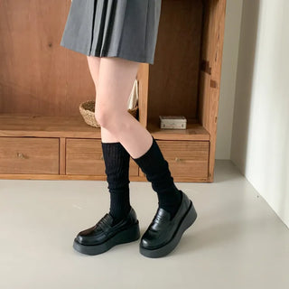 See-through Pleated Warmer Knee Socks Long Socks Collection