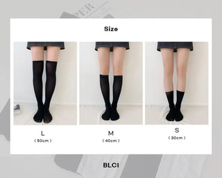 See-through Pleated Warmer Knee Socks Long Socks Collection