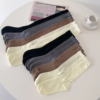 See-through Pleated Warmer Knee Socks Long Socks Collection