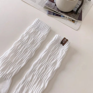 See-through Pleated Warmer Knee Socks Long Socks Collection