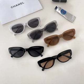 Unique Cat-Eye, UV Protection, Vacation & Resort Tinted Sunglasses & Glasses Collection