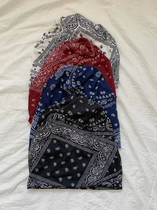 Disstored Paisley Twist Pattern Beanie Hat