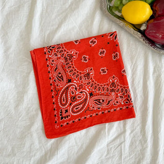 Cotton Paisley Festival Bandana Scarf