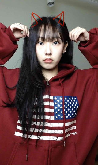 Street Style American Flag Basic Zip-Up Hoodie