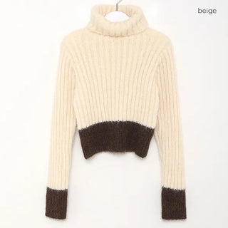Ribbed two-tone turtleneck knit