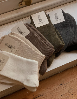 Daily Socks - 6 Colors