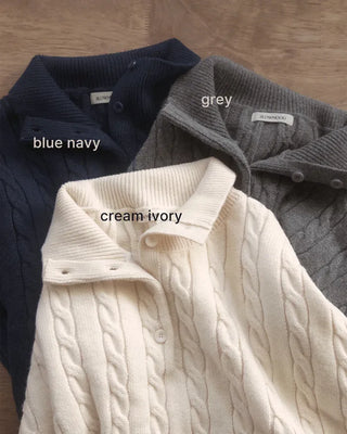 (3 colors) Thick Cable Knit Cardigan